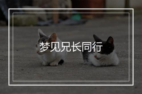 梦见兄长同行