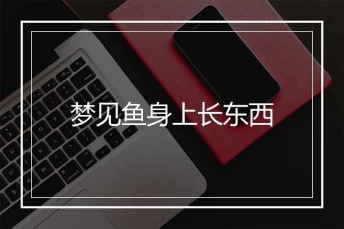 梦见鱼身上长东西