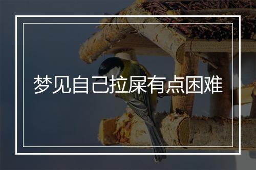 梦见自己拉屎有点困难