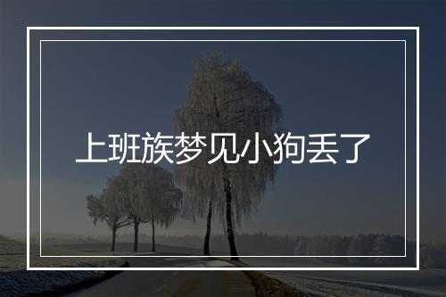 上班族梦见小狗丢了