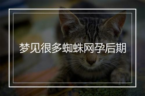 梦见很多蜘蛛网孕后期