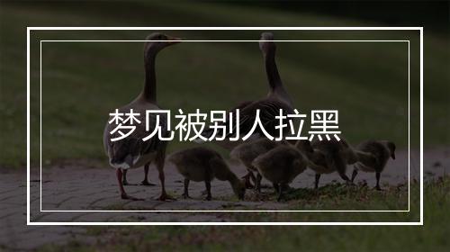 梦见被别人拉黑