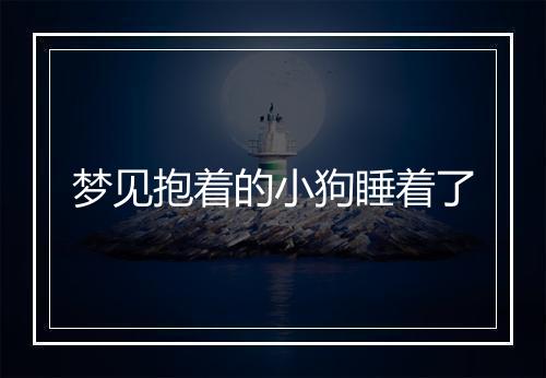 梦见抱着的小狗睡着了