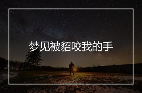 梦见被貂咬我的手