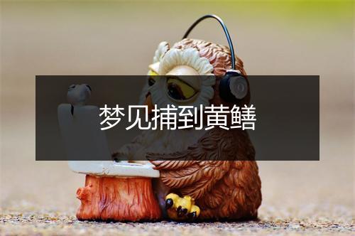 梦见捕到黄鳝