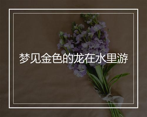 梦见金色的龙在水里游