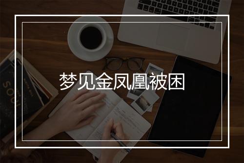 梦见金凤凰被困