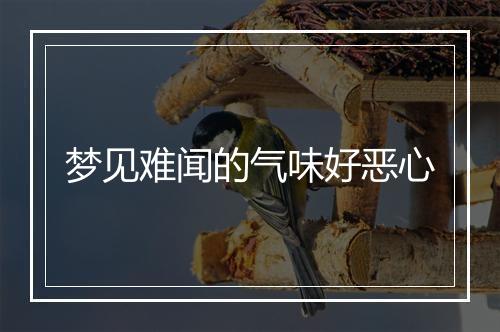 梦见难闻的气味好恶心