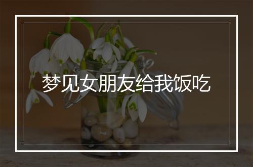 梦见女朋友给我饭吃