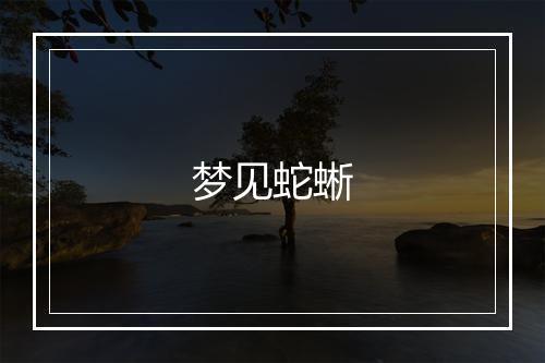 梦见蛇蜥