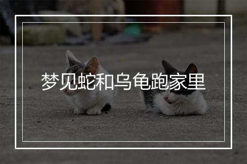 梦见蛇和乌龟跑家里