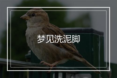 梦见洗泥脚