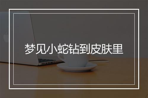 梦见小蛇钻到皮肤里