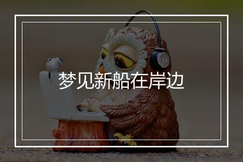 梦见新船在岸边