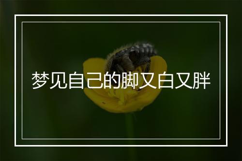 梦见自己的脚又白又胖