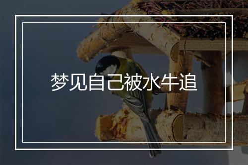 梦见自己被水牛追