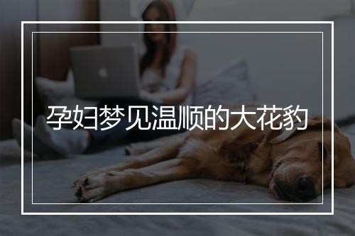 孕妇梦见温顺的大花豹