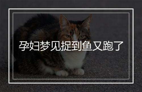 孕妇梦见捉到鱼又跑了