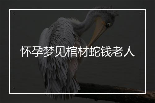 怀孕梦见棺材蛇钱老人