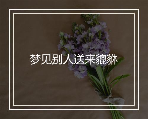 梦见别人送来貔貅