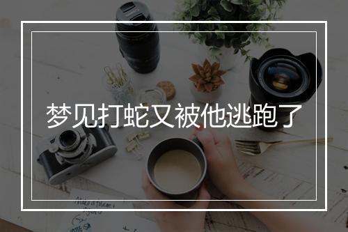 梦见打蛇又被他逃跑了