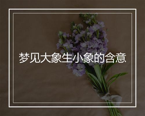 梦见大象生小象的含意