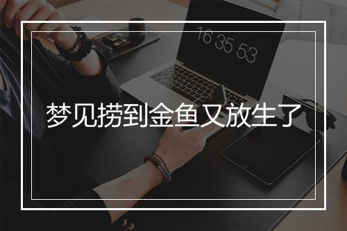 梦见捞到金鱼又放生了