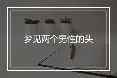 梦见两个男性的头