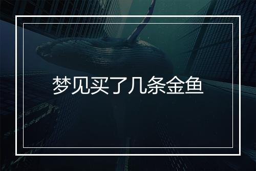 梦见买了几条金鱼