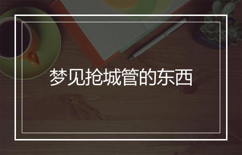 梦见抢城管的东西