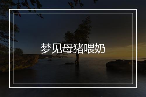 梦见母猪喂奶