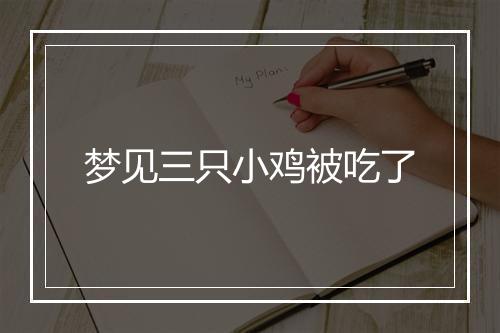 梦见三只小鸡被吃了