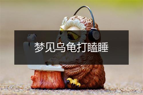 梦见乌龟打瞌睡