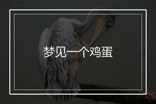 梦见一个鸡蛋