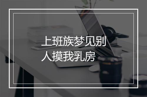 上班族梦见别人摸我乳房