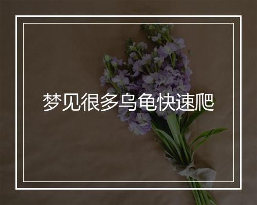 梦见很多乌龟快速爬