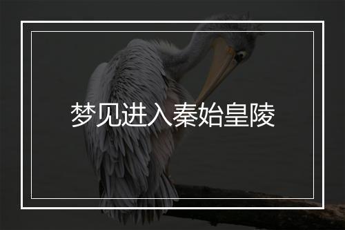 梦见进入秦始皇陵