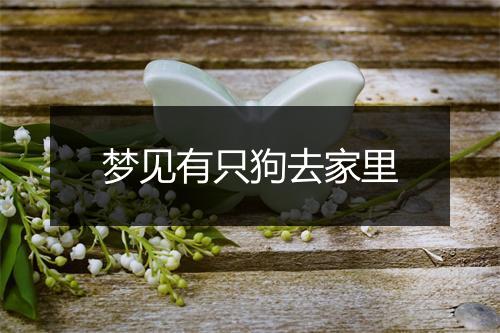 梦见有只狗去家里