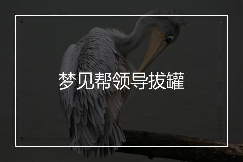 梦见帮领导拔罐