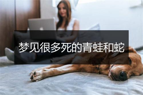 梦见很多死的青蛙和蛇