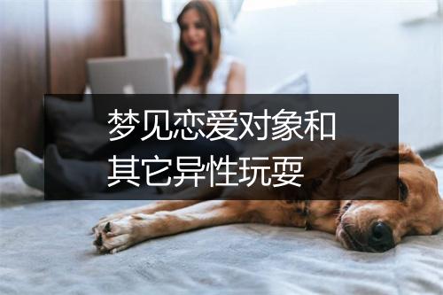 梦见恋爱对象和其它异性玩耍