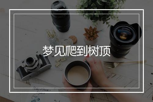 梦见爬到树顶