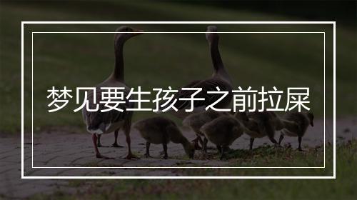 梦见要生孩子之前拉屎