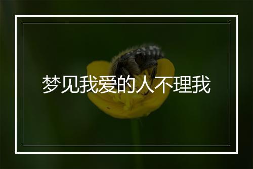 梦见我爱的人不理我