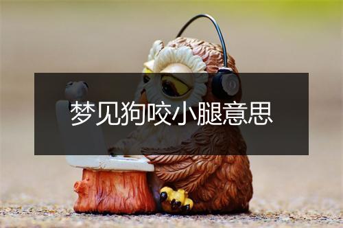 梦见狗咬小腿意思