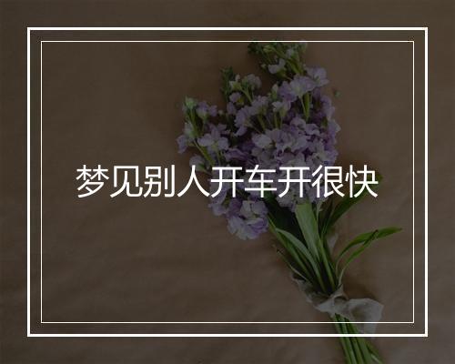 梦见别人开车开很快