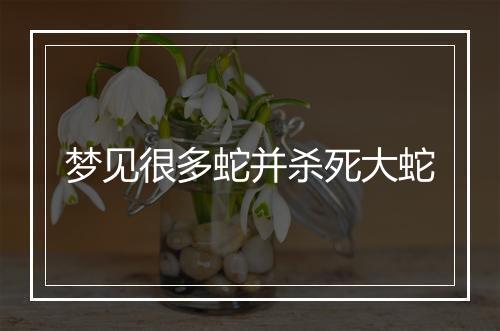 梦见很多蛇并杀死大蛇