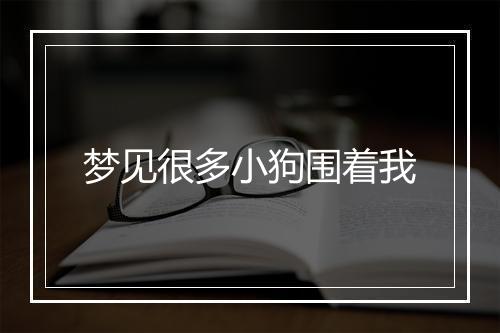 梦见很多小狗围着我