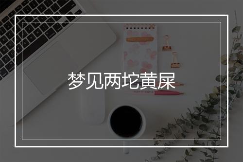 梦见两坨黄屎