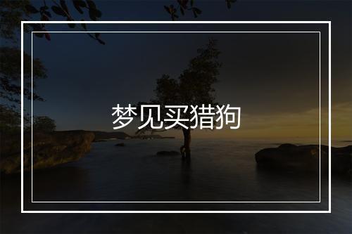 梦见买猎狗